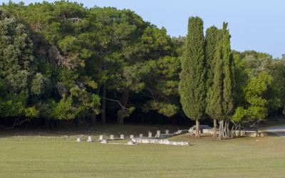 Fažana & Brijuni National Park Taxi & Transfer Services | Why Visit Fažana?